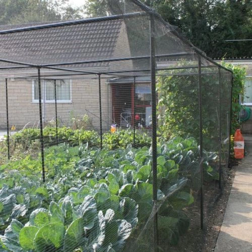 Premium Walk In Fruit and Vegetable Cages
